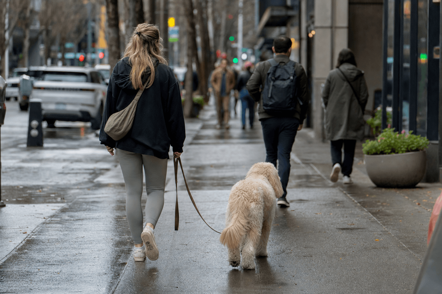 A woman and her dog walking on a loose leash through a busy Seattle sidewalk, dog calm at her side